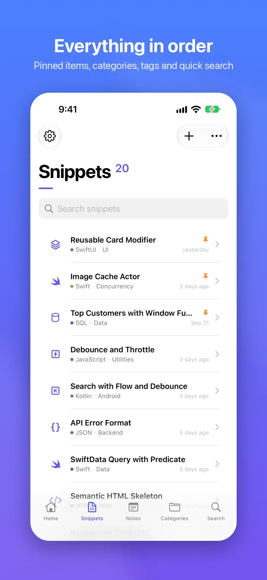 Elenco degli snippet con elementi fissati, categorie e tag